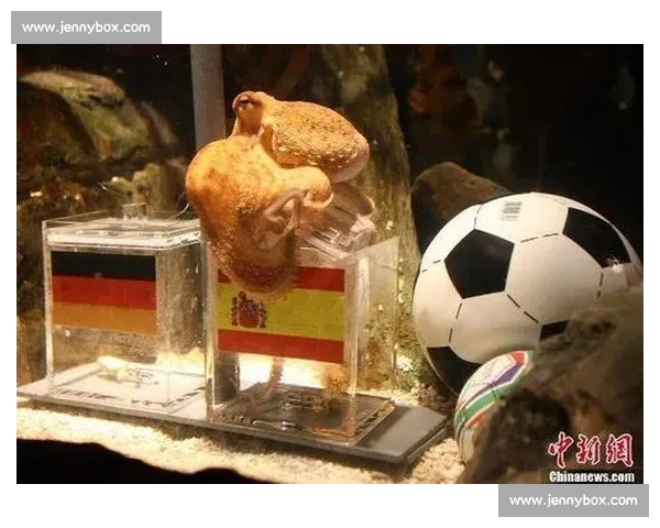 章鱼保罗退役后神秘继任者引领世界杯竞猜新传奇